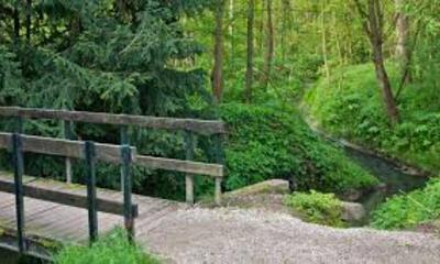 Tangebeekbos Grimbergen Vilvoorde